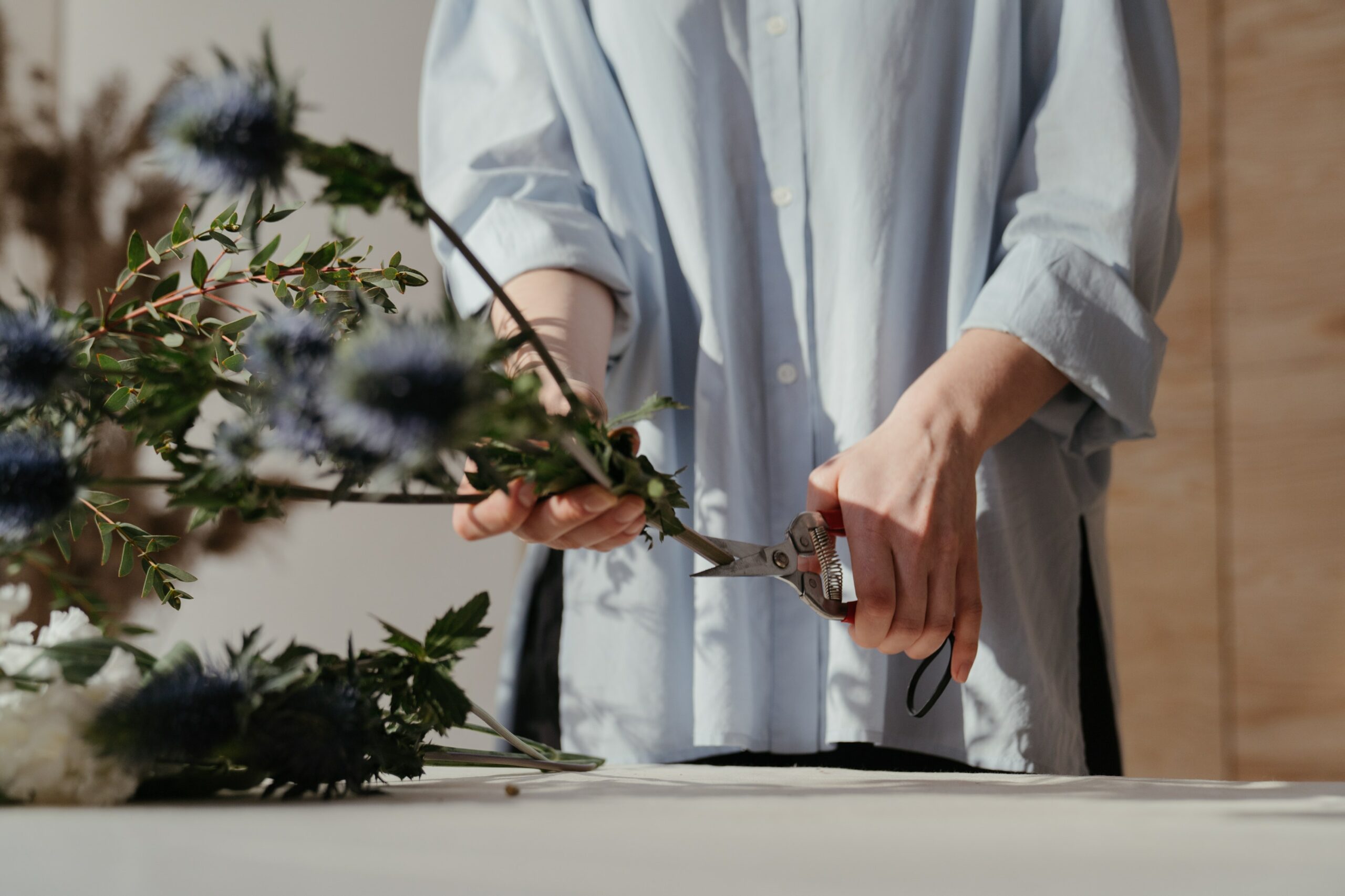 How to prune a Butterfly Bush
