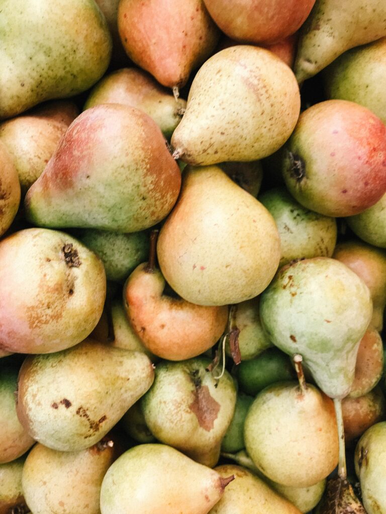 How to prune a Pear tree